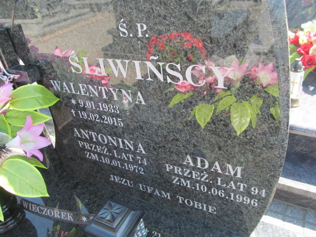Józef Śliwiński 1931 Kosmów - Grobonet - Wyszukiwarka osób pochowanych