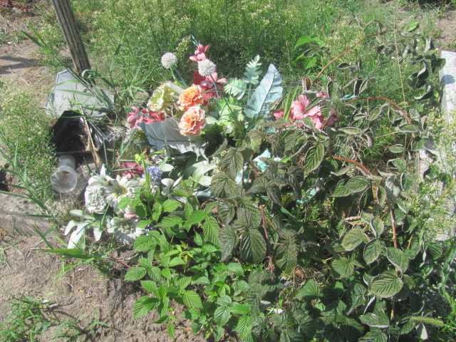 Andrzej Misiak 1965 Kosmów - Grobonet - Wyszukiwarka osób pochowanych