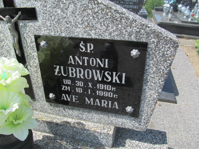 Antoni Żubrowski 1910 Kosmów - Grobonet - Wyszukiwarka osób pochowanych